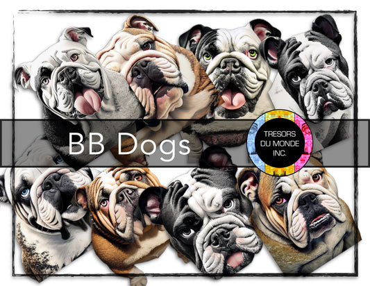 Bulldog anglais - Image numérique solo haute résolution - Usage commercial et perso