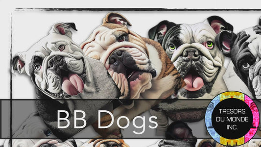 Bulldog anglais - Image numérique solo haute résolution - Usage commercial et perso
